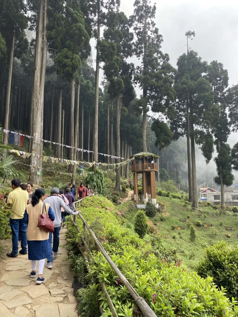 Weekend at Ooty — photograph 211 by Sayantan Ghosh