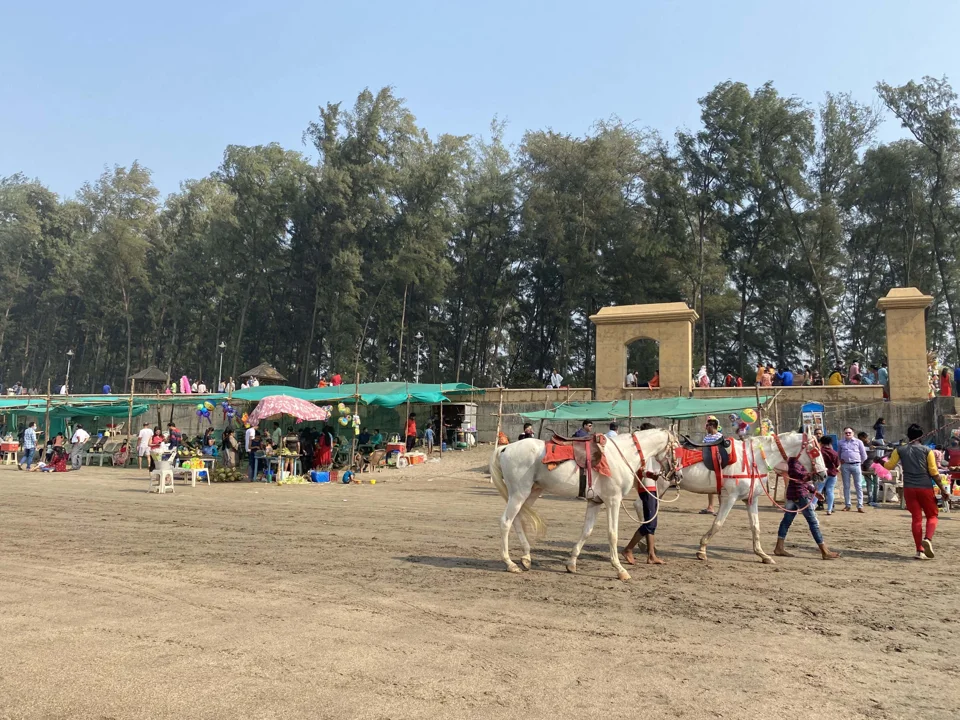 Dabbling Daman — photograph 46 by Sayantan Ghosh