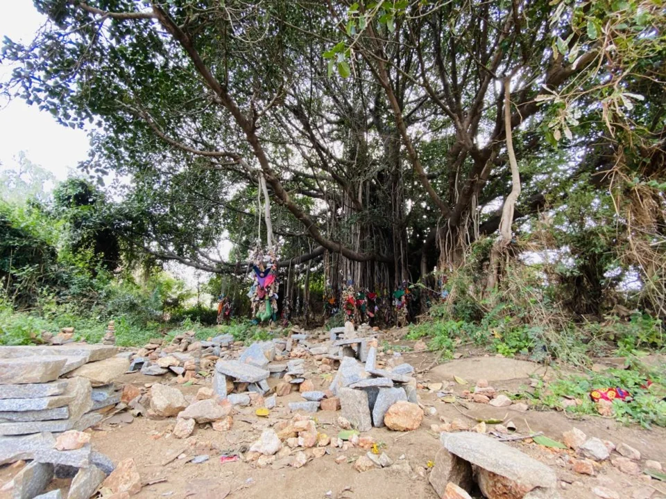 Weekend at Ooty — photograph 391 by Sayantan Ghosh