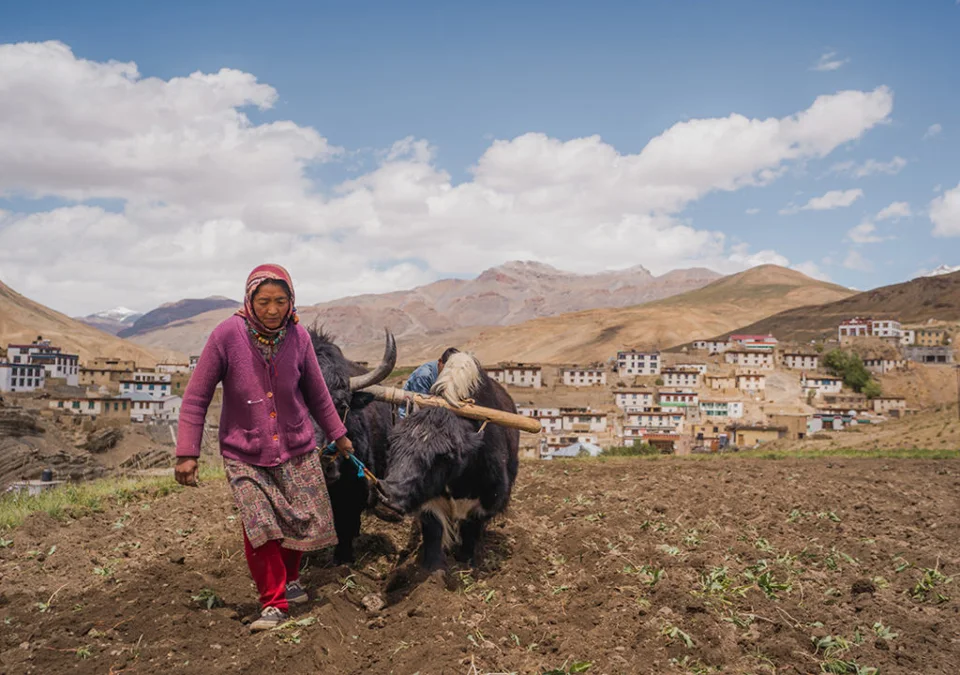 Adventure Spiti — photograph 19 by Sayantan Ghosh