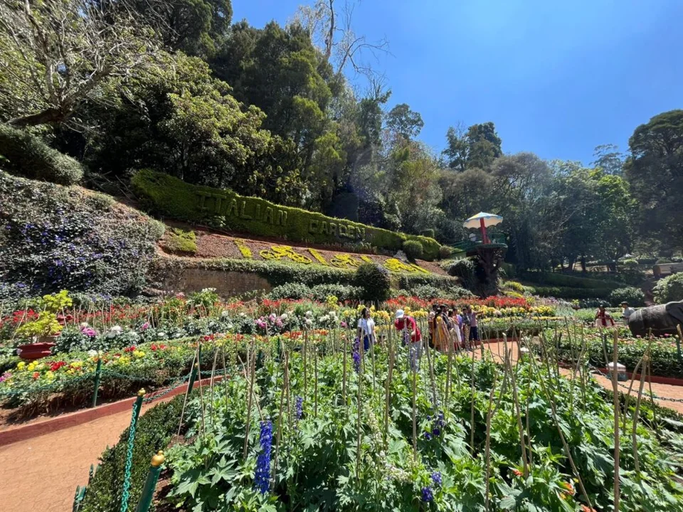 Weekend at Ooty — photograph 12 by Sayantan Ghosh