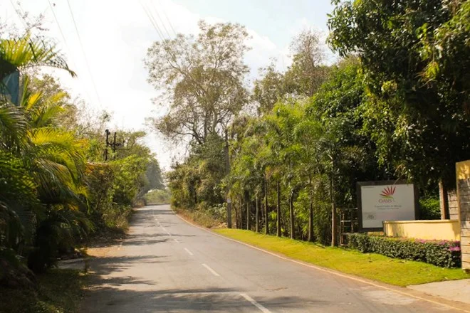 The Road to Alibaug