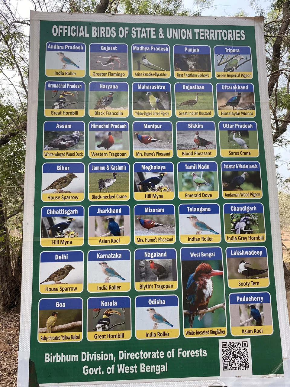 Weekend at Ooty — photograph 310 by Sayantan Ghosh