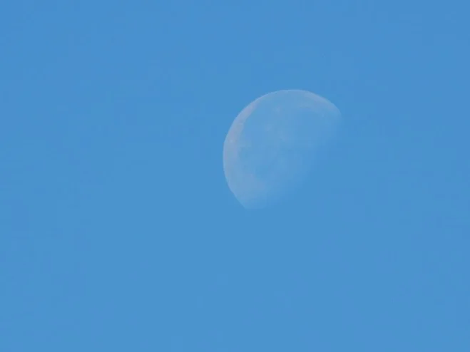 Gibbous Moon at 10 AM as seen through Compact Camera