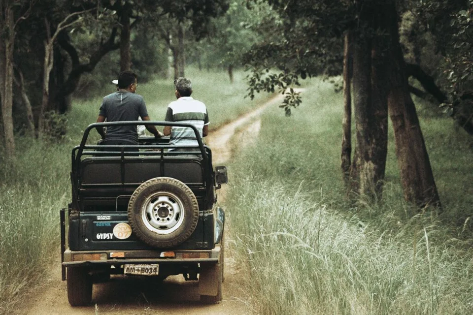 Terra Tadoba — photograph 11 by Sayantan Ghosh