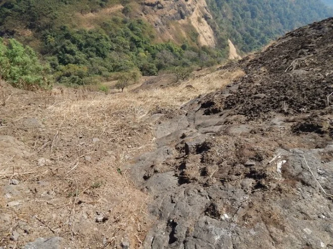 Barren land and Rocky roads