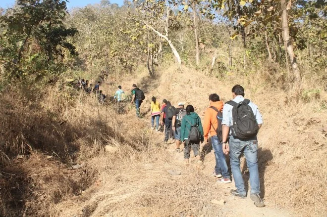 Walking through dried grassy terrain