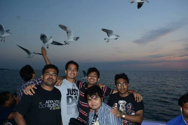 Seagulls soaring towards food