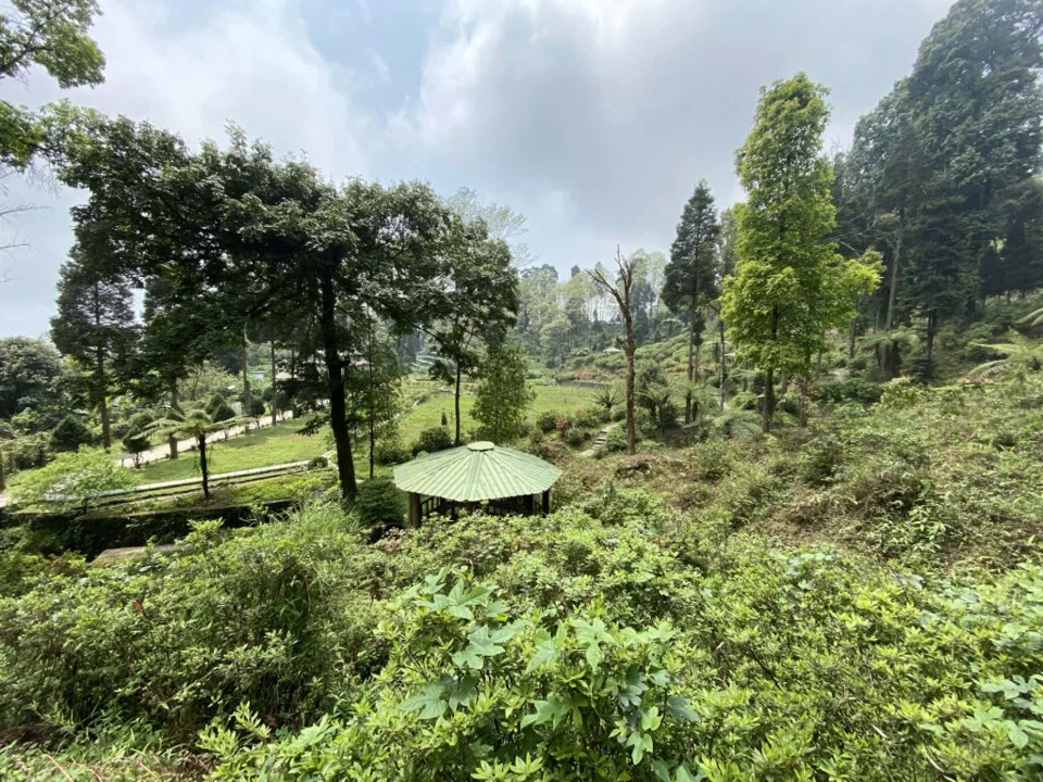 Weekend at Ooty — photograph 209 by Sayantan Ghosh