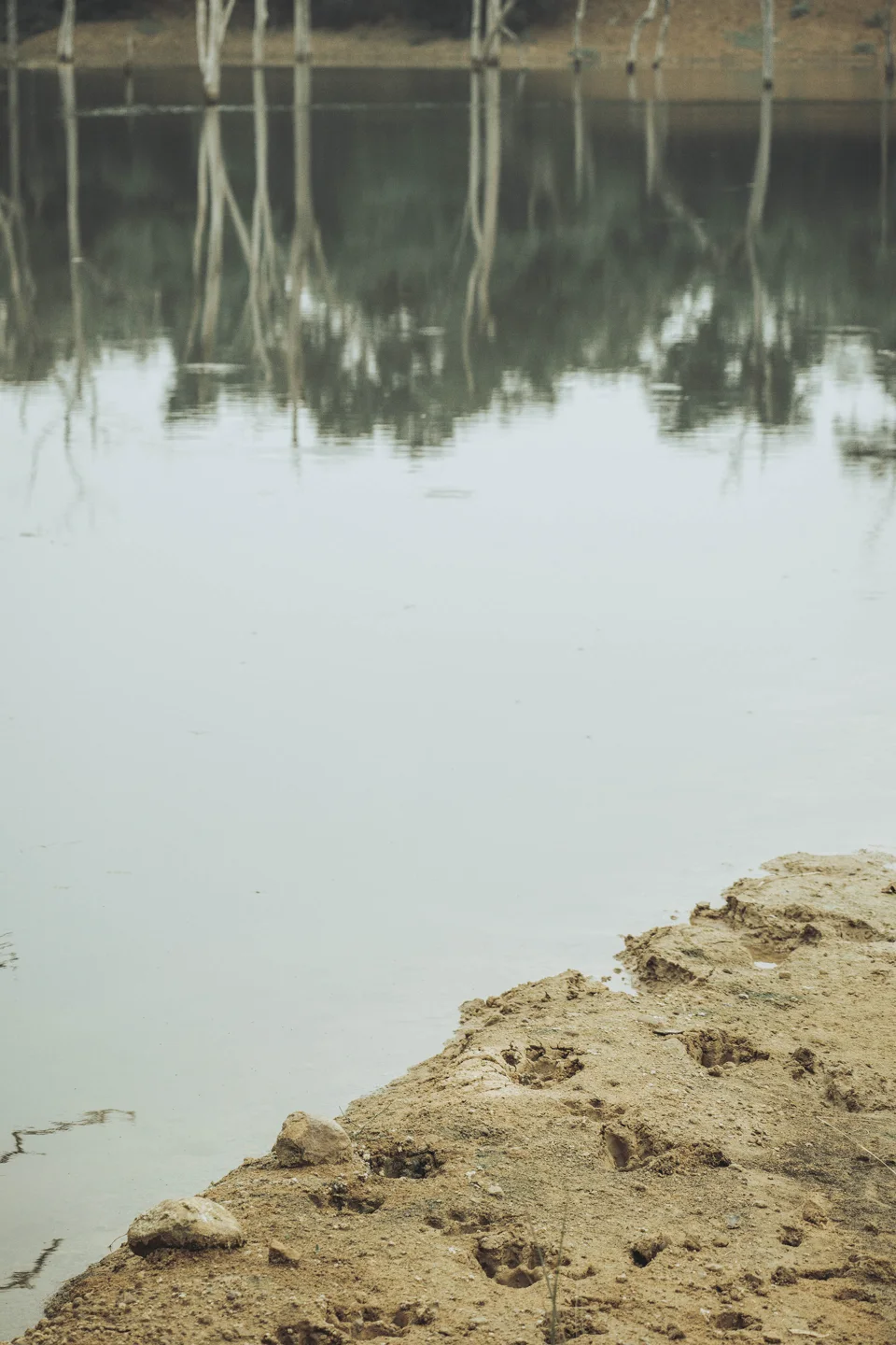 Terra Tadoba — photograph 16 by Sayantan Ghosh