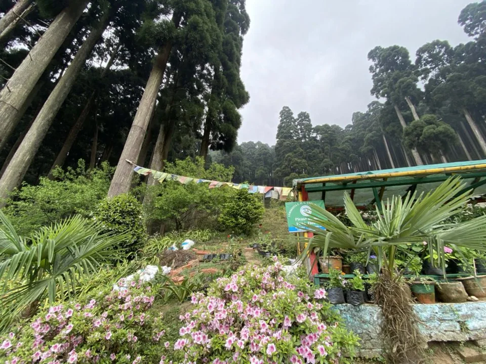 Weekend at Ooty — photograph 210 by Sayantan Ghosh